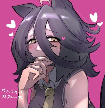 1girl ahoge alternate_hair_length alternate_hairstyle biting biting_finger black_hair black_shirt blush collared_shirt hand_up heart highres looking_at_viewer manhattan_cafe_(umamusume) multicolored_hair necktie pink_background sakumorupui shirt simple_background sleeveless sleeveless_shirt solo translation_request umamusume white_hair yellow_eyes yellow_necktie