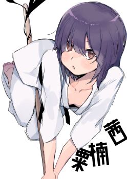 1girl absurdres awakusu_akane barefoot blush breasts brown_eyes collarbone commentary_request dougi downblouse durarara!! from_above hair_over_one_eye highres holding karate_gi light_blush lips loli looking_at_viewer martial_arts_belt open_mouth pa_yashi parted_lips purple_hair short_hair simple_background sitting sitting_on_object sketch small_breasts solo stick white_background