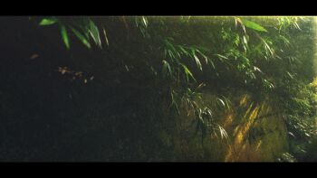 absurdres commentary gerar_dc highres leaf no_humans original outdoors photorealistic realistic scenery stone_wall