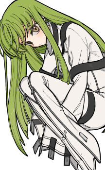 1girl blush bodysuit c.c. closed_mouth code_geass commentary expressionless eyelashes green_hair highres hugging_own_legs long_hair long_sleeves looking_at_viewer simple_background sleeves_past_fingers sleeves_past_wrists solo straight_hair straitjacket strap very_long_hair white_background white_bodysuit xiao_(grsnss25) yellow_eyes zipper_pull_tab