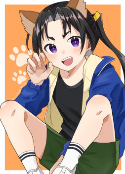 Rule 34 | 1boy, absurdres, androgynous, animal ears, black hair, black shirt, blue jacket, border, cat ears, green shorts, hand up, highres, houjou tokiyuki (nige jouzu no wakagimi), jacket, kemonomimi mode, knees up, long hair, long sleeves, looking at viewer, male focus, nige jouzu no wakagimi, norimi (01norimi28), open clothes, open jacket, open mouth, orange background, ponytail, purple eyes, shirt, shorts, smile, socks, solo, white border, white socks