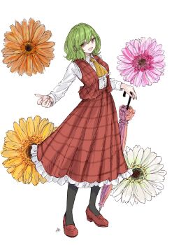 Rule 34 | 1girl, :d, absurdres, ascot, black pantyhose, buttons, closed umbrella, collared shirt, commentary request, dress shirt, floral background, flower, frilled ascot, frilled skirt, frills, gerbera, green hair, highres, holding, holding umbrella, kashiwada kiiho, kazami yuuka, long skirt, long sleeves, medium hair, open mouth, orange flower, pantyhose, pink flower, pink umbrella, plaid clothes, plaid skirt, plaid vest, planted, planted umbrella, red eyes, red shoes, red skirt, red vest, shirt, shirt tucked in, shoes, signature, skirt, smile, solo, standing, touhou, umbrella, vest, white background, white flower, white shirt, yellow ascot, yellow flower