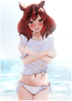 1girl absurdres animal_ears bikini blush brown_eyes brown_hair collarbone commentary_request cowboy_shot crossed_arms day fluffy_hair groin highres horse_ears horse_girl horse_tail looking_at_viewer medium_hair miyama_mizuki_(hoshihoshi1220) multicolored_hair navel nice_nature_(umamusume) ocean open_mouth outdoors raised_inner_eyebrows see-through_cleavage see-through_clothes see-through_shirt shirt short_sleeves side-tie_bikini_bottom solo standing straight-on swimsuit tail thigh_gap tied_shirt twintails two-tone_hair umamusume water water_drop wet wet_clothes wet_shirt white_bikini white_shirt