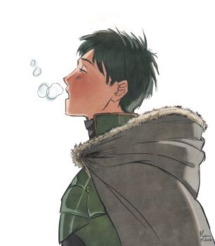 Rule 34 | 1boy, armor, breath, closed eyes, cold, commentary, english commentary, fire emblem, fire emblem: radiant dawn, fur-trimmed hood, fur trim, green armor, green hair, highres, hood, hood down, male focus, merimerz, nintendo, open mouth, oscar (fire emblem), profile, short hair, solo, upper body