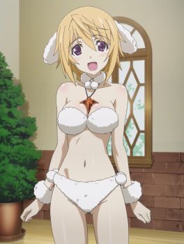 10s 1girl animal_ears anime_screenshot blonde_hair breasts brown_hair charlotte_dunois cleavage costume cowboy_shot dog_ears highres indoors infinite_stratos looking_at_viewer plant poodle purple_eyes short_hair stitched third-party_edit window