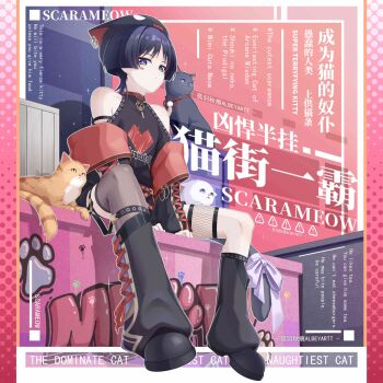 Rule 34 | 1boy, alternate costume, animal hat, armpit crease, asymmetrical legwear, bare shoulders, belt buckle, belt collar, black cat, black hair, black hat, black leg warmers, black shoes, black shorts, black sleeves, blunt ends, border, bow, buckle, casual, cat, cat boy, cat hat, cat tail, chinese text, closed mouth, clothing cutout, clothing request, collar, commentary request, contemporary, crate, cross-laced clothes, cross-laced legwear, cross-laced sleeves, english text, expressionless, facial mark, fishnet sleeves, fishnets, from below, full body, genshin impact, graffiti, grey thighhighs, guyuqiuhen1, hat, heart, heart facial mark, heart print, highres, leg warmers, legwear garter, long sleeves, looking at viewer, looking down, male focus, mismatched legwear, mitsudomoe (shape), mixed-language text, paw print, pink border, purple bow, red collar, scaramouche (genshin impact), shoes, shorts, shoulder cutout, single fishnet legwear, solo, tabby cat, tail, tail bow, tail ornament, thighhighs, tomoe (symbol), white cat, wispy bangs