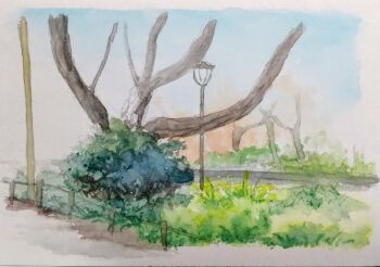 bush commentary_request day fence grass harusa1107 highres lamppost no_humans original painting_(medium) park path plant road traditional_media tree watercolor_(medium)