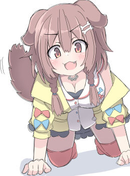 1girl :3 all_fours animal_ears blush bone_hair_ornament braid breasts brown_hair cardigan cartoon_bone cleavage commentary dog_ears dog_girl dog_tail dress hair_ornament hand_fan highres hololive inugami_korone inugami_korone_(1st_costume) large_breasts looking_at_viewer open_mouth red_thighhighs revision simple_background solo tail thighhighs three-quarter_sleeves twin_braids umberblack white_background white_dress yellow_cardigan