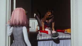 1boy 2girls 3d ? animal animal_penis animal_sexualization animated anya_(spy_x_family) bed bedroom bestiality black_dress black_hair black_pantyhose boots bouncing_breasts breasts clothes_pull confused dog door dress earrings from_above full_body grey_boots hairband hands_up hetero indoors jewelry knotted_penis large_breasts leg_up lipstick long_sleeves looking_at_another looking_up looping_animation lying makeup multiple_girls multiple_views nipples on_back on_bed open_mouth pantyhose penis red_eyes red_lips red_sweater sept. sex shirt short_hair_with_long_locks sidelocks sleeveless sleeveless_dress spread_legs spy_x_family sweater sweater_pull tagme uncensored variant_set video white_hairband white_shirt yor_briar