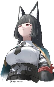 1girl animal_ears black_hair black_necktie breasts closed_mouth collared_shirt commentary cropped_torso cryne english_commentary fox_ears fox_girl highres hoshimi_miyabi id_card large_breasts long_hair necktie red_eyes shirt shirt_tucked_in solo twitter_username upward_angle_frieren_drawing white_shirt zenless_zone_zero