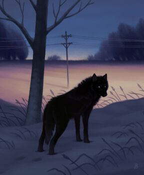 absurdres animal animal_focus bare_tree black_fur blue_sky commentary dappermouth dog english_commentary evening footprints full_body gradient_sky grass grey_pupils highres horizon horror_(theme) looking_at_viewer night no_humans original outdoors power_lines realistic scenery shadow sky snow standing tree utility_pole white_eyes winter wolf