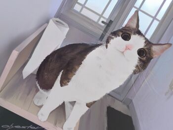 animal_focus artist_name cat commentary door english_commentary indoors looking_at_viewer no_humans olyester original signature solo tissue