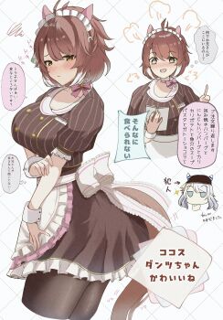 2girls @_@ absurdres animal_ears apron black_pantyhose blush breasts brown_eyes brown_hair brown_shirt brown_skirt brown_tail closed_mouth coco's commentary_request dantsu_flame_(umamusume) frilled_apron frilled_skirt frills hair_between_eyes highres hishi_miracle_(umamusume) horse_ears horse_girl horse_tail kaniitama large_breasts looking_at_viewer medium_hair multicolored_hair multiple_girls pantyhose patterned_background shirt sitting skirt speech_bubble streaked_hair tail translation_request umamusume waist_apron white_apron white_background white_hair white_headdress white_streaks white_wrist_cuffs wrist_cuffs