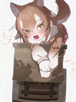 +_+ 1girl animal_ears blush brown_hair brown_sleeves brown_sweater extra_ears fur_collar gloves gradient_sleeves hair_between_eyes highres japanese_wolf_(kemono_friends) kemono_friends long_hair looking_at_viewer multicolored_hair open_mouth pink_skirt pleated_skirt sailor_collar sarutori school_uniform serafuku sidelocks skirt solo sweater tail temple two-tone_hair white_fur white_gloves white_hair white_sleeves wolf_ears wolf_girl wolf_tail yellow_eyes