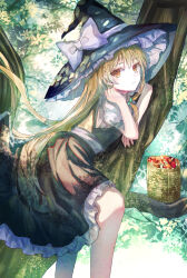 Rule 34 | 1girl, absurdres, basket, black skirt, blonde hair, bow, braid, closed mouth, green bow, hair bow, hat, hat bow, highres, in tree, kirisame marisa, long hair, looking at viewer, marisa day, mushroom, short sleeves, side braid, single braid, sitting, sitting in tree, skirt, solo, suzushina, touhou, tree, twitter username, very long hair, white bow, witch hat, yellow eyes
