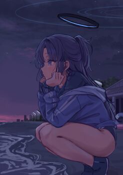Rule 34 | 1girl, beach, blue archive, blue buruma, blue sky, blush, buruma, commentary request, dusk, from side, gym shirt, gym uniform, halo, head on hands, highres, jacket, jacket partially removed, lamppost, lanyard, long hair, long sleeves, looking ahead, masute, mechanical halo, ocean, official alternate costume, outdoors, ponytail, purple hair, purple sky, ring of light (blue archive), shirt, sky, skyline, solo, squatting, thighs, track jacket, yuuka (blue archive), yuuka (track) (blue archive)