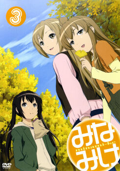 Rule 34 | 3girls, absurdres, ahoge, anime coloring, arms at sides, autumn, autumn leaves, bag, black eyes, black hair, blonde hair, blue sky, breasts, brown eyes, brown hair, brown hoodie, closed mouth, cloud, collarbone, cover, cowboy shot, day, dress, dutch angle, dvd cover, dvd logo, eating, flat chest, food, from below, ginkgo leaf, ginkgo tree, hand in pocket, hand up, highres, holding, holding food, holding leaf, hood, hood down, hoodie, jacket, leaf, logo, long hair, long sidelocks, long sleeves, looking ahead, looking to the side, medium breasts, minami-ke, minami chiaki, minami haruka, minami kana, multiple girls, official art, open clothes, open jacket, open mouth, orange shirt, outdoors, paper bag, pink dress, roasted sweet potato, scan, shirt, siblings, sidelocks, sisters, sky, small breasts, smile, sweet potato, third-party source, twintails, upper body, yellow leaves, yellow shirt