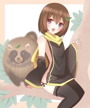 1girl :d absurdres animal bare_shoulders black_dress black_sleeves black_thighhighs blush border brown_border brown_hair detached_sleeves dress hair_between_eyes hair_ornament highres in_tree leaf leaf_hair_ornament leaf_on_head long_sleeves looking_at_viewer naked_tabard ninja no_panties non_(wednesday-classic) open_mouth original outside_border purple_eyes revision scarf short_hair sitting sitting_in_tree sleeveless sleeveless_dress sleeves_past_wrists smile solo tabard tanuki thighhighs tree white_background wide_sleeves yellow_scarf