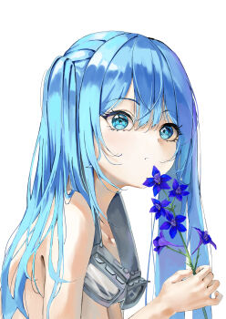 1girl absurdres arahashi_tabi blue_eyes blue_flower blue_hair closed_mouth commentary_request expressionless flower flower_to_mouth from_side goggles goggles_around_neck hair_between_eyes highres holding holding_flower korean_commentary larkspur_(flower) long_bangs long_hair looking_past_viewer looking_to_the_side nonekong nude simple_background solo stellive turning_head upper_body virtual_youtuber white_background