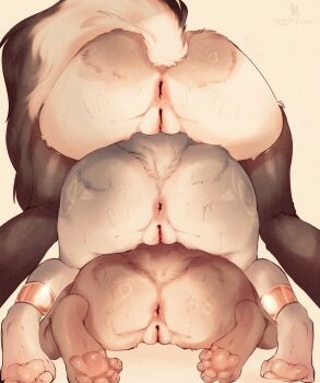 3girls animal_feet anklet anus artist_name ass ass_focus beastars black_thighhighs blue_fur body_fur cleft_of_venus completely_nude crossover female_focus fox_girl fox_tail furry furry_female gold grey_fur hellaverse helluva_boss highres human_stacking jewelry juno_(beastars) krystal leg_tattoo legs loona_(helluva_boss) lying_on_person mature_female multiple_girls nintendo nude pawpads pussy signature simple_background star_fox steam steaming_body subscribestar_username sweat tail take_your_pick tattoo thighhighs twitter_username two-tone_fur uncensored vksuika watermark white_fur wolf_girl wolf_tail yellow_background