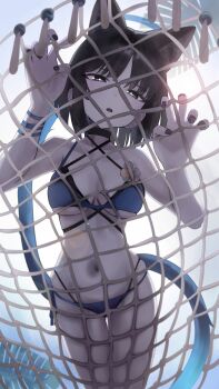 1girl absurdres animal_ear_fluff animal_ears bikini black_eyes black_hair black_tail blue_archive blue_bikini blue_halo blue_tail breasts cat_ears cat_girl cat_tail claw_pose commentary cowboy_shot from_below gradient_tail halo highres kikyou_(blue_archive) kikyou_(swimsuit)_(blue_archive) layered_bikini leaf medium_breasts multiple_tails navel on_hammock risuuuu short_hair simple_background solo stomach swimsuit tail thighs two_tails untranslatable_commentary