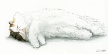 absurdres animal animal_focus artist_name cat closed_eyes commentary_request gotte highres no_humans original simple_background sleeping white_background
