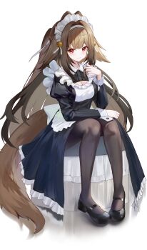 Rule 34 | 1girl, absurdres, alternate costume, animal ears, black dress, black pantyhose, black shoes, breasts, brown hair, cleavage, closed mouth, dress, enmaided, floppy ears, hand up, hashtag-only commentary, highres, long hair, long sleeves, looking at viewer, maid, maid headdress, pantyhose, red eyes, shoes, simple background, sitting, smile, solo, tail, very long hair, wakum, white background, ye shunguang, zenless zone zero