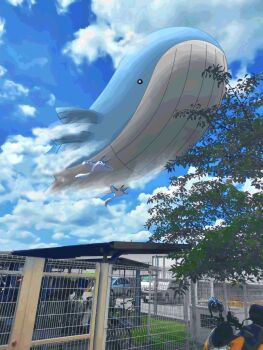 Rule 34 | blue sky, car, closed mouth, cloud, commentary request, day, fence, floating, gen 2 pokemon, gen 3 pokemon, highres, mantine, motor vehicle, motorcycle, nintendo, no humans, outdoors, photo background, pokemon, pokemon (creature), pokemon focus, sky, tree, wailord, watawatakuro