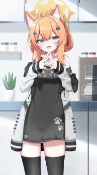 1girl animal_ear_fluff animal_ears black_shirt black_thighhighs blue_archive blue_eyes commentary_request double-parted_bangs duplicate hair_ornament hairclip halo hands_up highres indoors jacket kamesys long_hair long_shirt looking_at_viewer mari_(blue_archive) off-shoulder_shirt off_shoulder open_clothes open_jacket open_mouth orange_hair print_shirt shirt smile solo standing steepled_fingers thighhighs watermark white_jacket yellow_halo