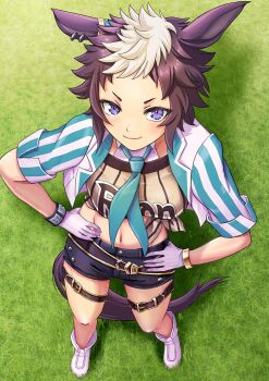 1girl animal_ears belt black_shorts blue_eyes blush boots bracelet breasts brown_hair brown_shirt closed_mouth commentary cropped_jacket ear_piercing gloves grass green_necktie highres horse_ears horse_girl horse_tail jacket jewelry large_breasts looking_at_viewer mejiro_ryan_(down_the_line)_(umamusume) mejiro_ryan_(umamusume) midriff midriff_peek multicolored_hair navel necktie otono_(bkt4b) outdoors piercing shirt shirt_under_shirt short_hair shorts smile solo striped_clothes striped_jacket studded_bracelet tail thigh_strap tied_shirt two-tone_hair umamusume vertical-striped_clothes vertical-striped_jacket white_boots white_gloves white_hair