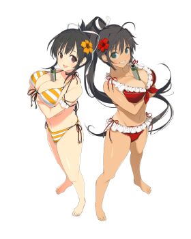 2girls asuka_(senran_kagura) barefoot bikini breasts brown_eyes brown_hair crossed_arms flower green_eyes hair_flower hair_ornament hair_ribbon highres homura_(senran_kagura) large_breasts multiple_girls navel object_between_breasts official_art ponytail ribbon scroll senran_kagura smile string_bikini swimsuit tan tanline yaegashi_nan
