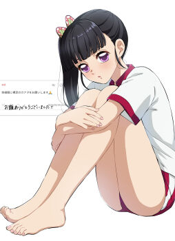 Rule 34 | 1girl, absurdres, alternate costume, bare legs, barefoot, black hair, blunt bangs, buruma, butterfly hair ornament, commentary request, feet, full body, gym shirt, gym uniform, hair ornament, highres, hugging own legs, kimetsu gakuen, kimetsu no yaiba, knees up, legs, no pupils, purple eyes, red buruma, shirt, short sleeves, side ponytail, sitting, solo, toenails, toes, tsuyuri kanao, ukinarika, white background, white shirt