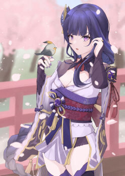 1girl absurdres armor asymmetrical_sleeves back_bow bird bird_on_hand blunt_bangs blurry blurry_background bow breasts bridal_gauntlets bridge cherry_blossoms cleavage falling_petals fan_hair_ornament genshin_impact highres japanese_clothes kimono large_breasts lingerie long_hair mole mole_under_eye neck_ribbon off_shoulder open_mouth outdoors petals phoenix7000 pink_petals purple_eyes purple_hair purple_kimono purple_nails purple_thighhighs raiden_shogun red_ribbon red_sash ribbon sash shoulder_armor solo standing thighhighs underwear uneven_sleeves upper_body wide_sleeves