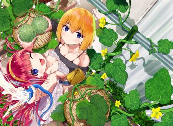 Rule 34 | 2girls, ;d, arm up, balcony, black bra, black shirt, blue eyes, blush, bra, bra strap, breasts, cleavage, closed mouth, collarbone, commentary request, denim, denim shorts, dot mouth, dress, flower, food, from above, fruit, garden, hair between eyes, hairband, highres, holding, holding food, holding fruit, holding hose, hose, large breasts, long hair, looking at viewer, looking up, midriff, multiple girls, off-shoulder shirt, off shoulder, official art, one eye closed, open mouth, orange hair, plant, red hair, shirt, short hair, shorts, smile, sprinkler, underwear, vegetable garden of twins, vines, water, white dress, yellow flower, yellow hairband, yumeno tanuki