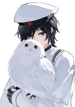 1boy absurdres bird black_eyes black_gloves black_hair character_request commentary copyright_request gloves hair_between_eyes hat highres kazenemuri long_sleeves looking_at_viewer male_focus owl shirt short_hair simple_background solo upper_body white_background white_bird white_hat white_shirt