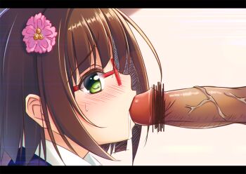 10s 1boy 1girl bad_id bad_pixiv_id blush brown_hair censored chromatic_aberration fellatio flower glasses green_eyes hair_flower hair_ornament hetero idolmaster idolmaster_cinderella_girls letterboxed maekawa_miku oral penis quality saliva simple_background solo_focus umihotaru_harumare veins veiny_penis