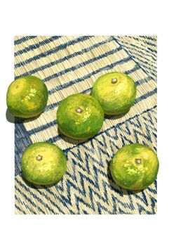 food fruit fruit_focus hashtag-only_commentary highres lime_(fruit) no_humans original outdoors shadow still_life sunoji08