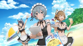 3girls :d animal_ears anime_coloring anya_fromel apron arm_garter arm_up bare_shoulders beach bikini bikini_skirt black_bikini black_hair black_one-piece_swimsuit black_ribbon black_skirt blue_sky blush bracelet breasts brochure brown_hair cat_ears cat_girl cat_tail cherry chloe_rollo choker cleavage closed_eyes closed_mouth cloud cloudy_sky cocktail covered_navel cup danmachi_battle_chronicle drinking_glass drinking_straw dungeon_ni_deai_wo_motomeru_no_wa_machigatteiru_darou_ka flipped_sidelocks flower foliage food frilled_apron frilled_bikini frilled_choker frilled_skirt frilled_thigh_strap frilled_wrist_cuffs frills front-tie_bikini_top front-tie_top fruit game_cg goblet_glass green_eyes grey_eyes hair_flower hair_ornament hibiscus highres holding holding_cup holding_paper holding_tray ice ice_cube incoming_gift jewelry lemon lemon_slice looking_at_viewer maid maid_apron maid_bikini maid_headdress maid_one-piece_swimsuit medium_breasts multiple_girls navel non-web_source ocean official_art one-piece_swimsuit open_mouth orange_flower paper parasol pink_flower ribbon ribbon_choker rocks_glass short_hair skirt sky smile stomach swimsuit syr_flover tail thigh_strap tray tumbler_glass umbrella unconventional_maid waist_apron white_apron wrist_cuffs