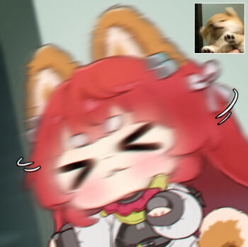 Rule 34 | > <, 1girl, :3, akekuri (arknights), animal ears, arknights, arknights: endfield, black gloves, blush, chibi, chibi only, closed eyes, closed mouth, commentary, dog ears, dog girl, dog tail, fingerless gloves, gloves, hue oo, jacket, long hair, long sleeves, looking at viewer, motion blur, motion lines, photo-referenced, red hair, reference inset, shaking head, solo, tail, thick eyebrows, untranslatable commentary, upper body, white jacket, x3