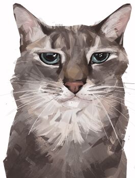 animal animal_focus cat commentary english_commentary expressionless highres junbuug looking_at_viewer no_humans original simple_background solo straight-on upper_body white_background