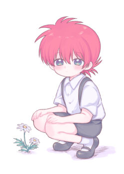 1boy aged_down alternate_costume black_shoes black_shorts blue_eyes child collared_shirt commentary_request daisy_(flower) expressionless flower full_body kneeling kurama_(yu_yu_hakusho) looking_at_viewer male_focus morishi_(bearxforest) red_hair shirt shoes short_hair short_sleeves shorts socks solo suspender_shorts suspenders white_background white_flower white_shirt white_socks wing_collar yuu_yuu_hakusho