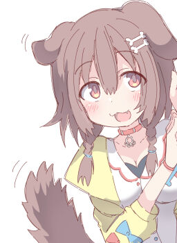 1girl :d absurdres animal_ears blue_bow blush bone_hair_ornament bow braid breasts brown_hair cartoon_bone cleavage commentary dog_ears dog_girl dog_tail dress fang hair_between_eyes hair_ornament hair_over_shoulder hands_up highres hololive inugami_korone inugami_korone_(1st_costume) jacket long_hair long_sleeves looking_at_viewer low_twintails medium_breasts open_clothes open_jacket open_mouth puffy_long_sleeves puffy_sleeves red_bow red_eyes simple_background smile solo tail twin_braids twintails umberblack upper_body white_background white_dress yellow_jacket