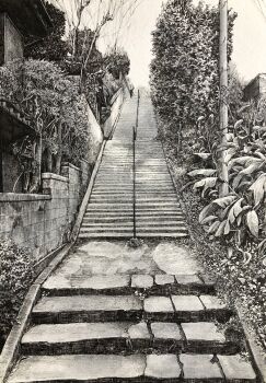 building graphite_(medium) greyscale handrail highres ibsukionsen monochrome no_humans original outdoors plant scenery stairs traditional_media tree utility_pole