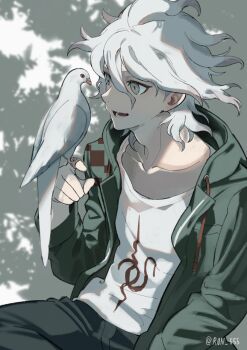 1boy :d absurdres animal artist_name bird black_pants collarbone danganronpa_(series) danganronpa_2:_goodbye_despair green_jacket grey_background grey_hair hair_between_eyes hareruya_(smomo2227) highres jacket komaeda_nagito long_sleeves lower_teeth_only male_focus messy_hair open_clothes open_jacket open_mouth pants print_shirt shirt smile solo teeth white_shirt