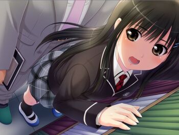 Rule 34 | 1boy, 1girl, bishoujo (game), black hair, black jacket, blazer, blush, brown eyes, collared shirt, game cg, grey jacket, grey pants, grey skirt, hair between eyes, hair ornament, hairclip, holding, indoors, jacket, kneehighs, long hair, long sleeves, miniskirt, necktie, nonohara miki, open mouth, pants, plaid clothes, plaid skirt, pleated skirt, red necktie, school uniform, shirt, shoes, skirt, socks, solo focus, standing, straight hair, sweatdrop, tachibana kyouka (bishoujo), uwabaki, white shirt, wing collar