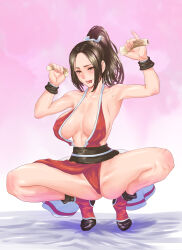 Rule 34 | 1girl, breasts, fatal fury, large breasts, long hair, ponytail, sexually suggestive, shiranui mai, solo