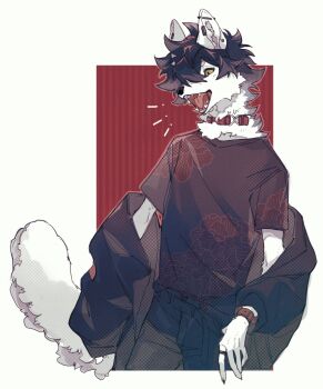 1boy black_hair black_jacket body_fur claws collar commentary cowboy_shot ear_piercing floral_print fuji_166 furry furry_male highres jacket jacket_partially_removed jewelry male_focus open_mouth original piercing red_background ring shirt short_hair solo tail white_fur wolf_boy yellow_eyes