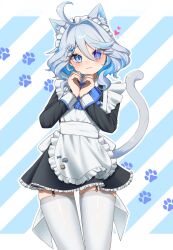 Rule 34 | 1girl, :3, alternate costume, animal ears, apron, ascot, black dress, blue ascot, blue eyes, blue hair, blue nails, blush, cat ears, cat tail, colored inner hair, cowboy shot, cowlick, dress, drop-shaped pupils, enmaided, frilled apron, frills, furina (genshin impact), genshin impact, grey hair, hands up, heart, heart hands, heterochromia, highres, letterboxed, light blue hair, looking at viewer, maid, maid apron, maid headdress, multicolored hair, nail polish, nanase (zbgzke1jtztpedq), outline, paw hair ornament, paw print, paw print background, short hair, solo, striped background, symbol-shaped pupils, tail, wavy hair, white apron, white outline