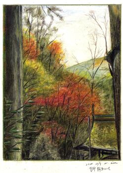 absurdres autumn baden_hiroshi border colored_pencil_(medium) commentary_request dated day forest highres nature no_humans original outdoors scenery traditional_media tree white_border