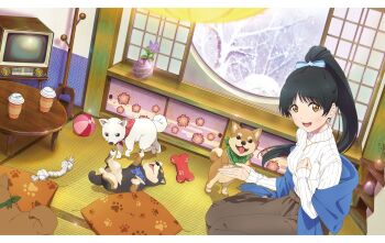 Rule 34 | 1girl, animal, artbook, ball, black hair, bow, brown skirt, chabudai, cup, dog, hair bow, hazuki ren, high ponytail, highres, indoors, jewelry, long hair, looking at viewer, love live!, love live! superstar!!, non-web source, open mouth, ponytail, ribbed sweater, sitting, skirt, smile, solo, sweater, table, tatami, television, tree, turtleneck, yellow eyes